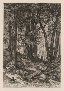 Interior of a California Forest after Thomas Moran