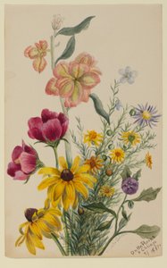 Group of Flowers by Mary Vaux Walcott