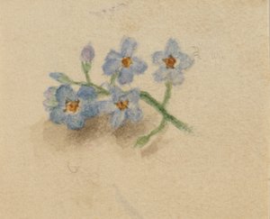 Untitled, 1874