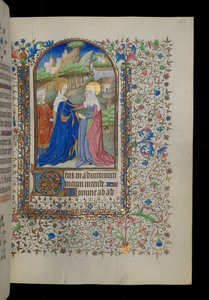 Visitation