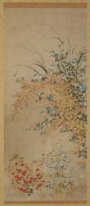 Flowers and Grasses
