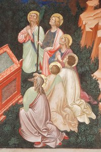 Assumption of the Virgin and the Virgin Mary Dropping the Girdle or Holy Belt to St. Thomas (detail)