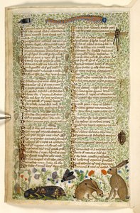 Rabbits and insects, including a caterpillar, dragonfly, and a moth, from a Treatise on the Virtues and Vices, and an anonymous prose history of Sicily (fragment) by Master of the Cocharelli Codex