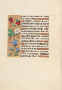 Hours of Queen Isabella the Catholic, Queen of Spain: Fol. 105v by Master of the First Prayerbook of Maximillian