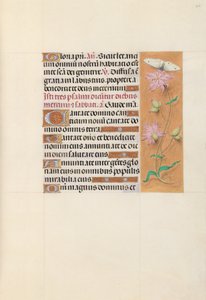 Hours of Queen Isabella the Catholic, Queen of Spain: Fol. 107r by Master of the First Prayerbook of Maximillian