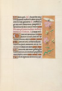 Hours of Queen Isabella the Catholic, Queen of Spain: Fol. 107r by Master of the First Prayerbook of Maximillian