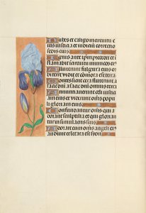 Hours of Queen Isabella the Catholic, Queen of Spain: Fol. 108v by Master of the First Prayerbook of Maximillian