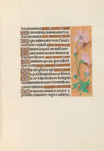 Hours of Queen Isabella the Catholic, Queen of Spain: Fol. 113r by Master of the First Prayerbook of Maximillian