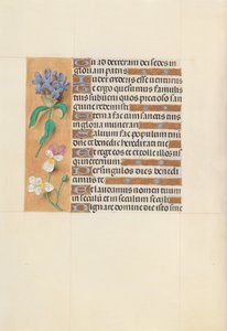 Hours of Queen Isabella the Catholic, Queen of Spain: Fol. 113v by Master of the First Prayerbook of Maximillian