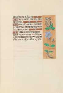 Hours of Queen Isabella the Catholic, Queen of Spain: Fol. 114r by Master of the First Prayerbook of Maximillian