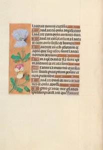 Hours of Queen Isabella the Catholic, Queen of Spain: Folio 120v by Master of the First Prayerbook of Maximillian