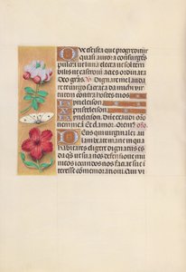 Hours of Queen Isabella the Catholic, Queen of Spain: Fol. 129v by Master of the First Prayerbook of Maximillian