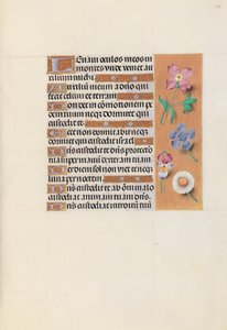 Hours of Queen Isabella the Catholic, Queen of Spain: Fol. 133r by Master of the First Prayerbook of Maximillian