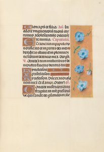 Hours of Queen Isabella the Catholic, Queen of Spain: Fol. 139r by Master of the First Prayerbook of Maximillian