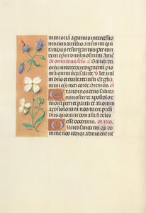 Hours of Queen Isabella the Catholic, Queen of Spain: Fol. 139v by Master of the First Prayerbook of Maximillian