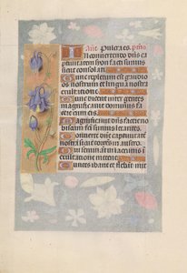 Hours of Queen Isabella the Catholic, Queen of Spain: Fol. 142v, c. 1500 by Master of the First Prayerbook of Maximillian