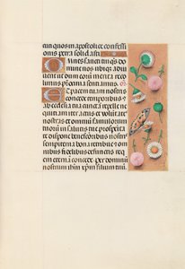 Hours of Queen Isabella the Catholic, Queen of Spain: Fol. 145r, c. 1500 by Master of the First Prayerbook of Maximillian