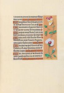 Hours of Queen Isabella the Catholic, Queen of Spain: Fol. 150r by Master of the First Prayerbook of Maximillian