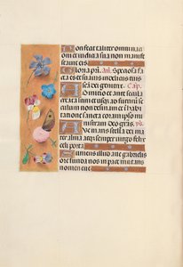 Hours of Queen Isabella the Catholic, Queen of Spain: Fol. 150v by Master of the First Prayerbook of Maximillian