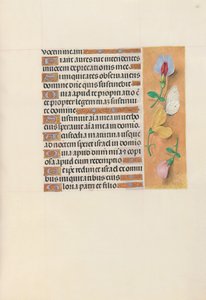 Hours of Queen Isabella the Catholic, Queen of Spain: Fol. 156r by Master of the First Prayerbook of Maximillian