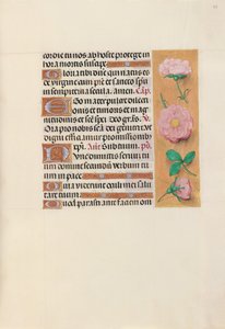 Hours of Queen Isabella the Catholic, Queen of Spain: Fol. 157r, c. 1500 by Master of the First Prayerbook of Maximillian