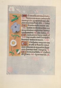 Hours of Queen Isabella the Catholic, Queen of Spain: Fol. 160v by Master of the First Prayerbook of Maximillian