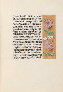 Hours of Queen Isabella the Catholic, Queen of Spain: Fol. 163r, c. 1500