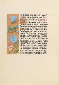 Hours of Queen Isabella the Catholic, Queen of Spain: Fol. 163v by Master of the First Prayerbook of Maximillian