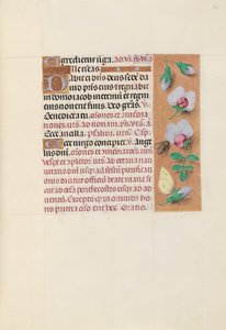 Hours of Queen Isabella the Catholic, Queen of Spain: Fol. 165r, c. 1500 by Master of the First Prayerbook of Maximillian