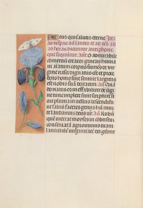 Hours of Queen Isabella the Catholic, Queen of Spain: Fol. 165v, c. 1500 by Master of the First Prayerbook of Maximillian
