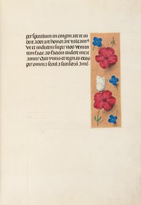 Hours of Queen Isabella the Catholic, Queen of Spain: Fol. 16r by Master of the First Prayerbook of Maximillian