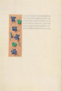 Hours of Queen Isabella the Catholic, Queen of Spain: Fol. 16v, Short Border by Master of the First Prayerbook of Maximillian