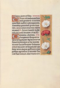 Hours of Queen Isabella the Catholic, Queen of Spain: Fol. 19r