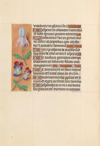 Hours of Queen Isabella the Catholic, Queen of Spain: Fol. 207v, c. 1500 by Master of the First Prayerbook of Maximillian