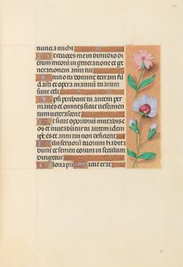 Hours of Queen Isabella the Catholic, Queen of Spain: Fol. 208r by Master of the First Prayerbook of Maximillian