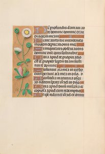 Hours of Queen Isabella the Catholic, Queen of Spain: Fol. 208v, c. 1500 by Master of the First Prayerbook of Maximillian