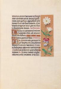 Hours of Queen Isabella the Catholic, Queen of Spain: Fol. 20r by Master of the First Prayerbook of Maximillian