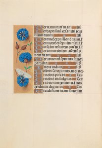 Hours of Queen Isabella the Catholic, Queen of Spain: Fol. 213v by Master of the First Prayerbook of Maximillian