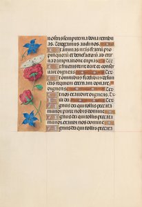 Hours of Queen Isabella the Catholic, Queen of Spain: Fol. 214v by Master of the First Prayerbook of Maximillian