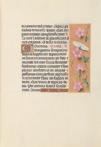 Hours of Queen Isabella the Catholic, Queen of Spain: Fol. 21r by Master of the First Prayerbook of Maximillian