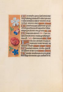 Hours of Queen Isabella the Catholic, Queen of Spain: Fol. 221v by Master of the First Prayerbook of Maximillian