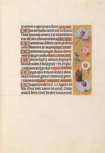 Hours of Queen Isabella the Catholic, Queen of Spain: Fol. 225r, c. 1500 by Master of the First Prayerbook of Maximillian
