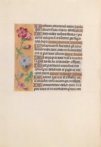 Hours of Queen Isabella the Catholic, Queen of Spain: Fol. 230v, c. 1500 by Master of the First Prayerbook of Maximillian