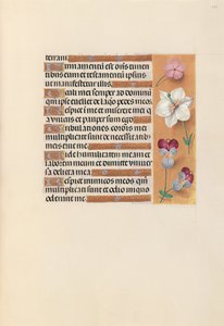 Hours of Queen Isabella the Catholic, Queen of Spain: Fol. 235r by Master of the First Prayerbook of Maximillian