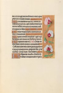 Hours of Queen Isabella the Catholic, Queen of Spain: Fol. 237r by Master of the First Prayerbook of Maximillian