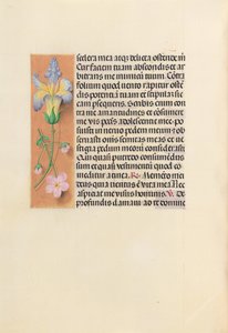 Hours of Queen Isabella the Catholic, Queen of Spain: Fol. 237v, c. 1500 by Master of the First Prayerbook of Maximillian