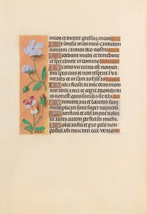 Hours of Queen Isabella the Catholic, Queen of Spain: Fol. 239v by Master of the First Prayerbook of Maximillian