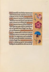 Hours of Queen Isabella the Catholic, Queen of Spain: Fol. 242r, c. 1500 by Master of the First Prayerbook of Maximillian