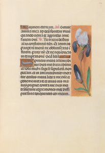 Hours of Queen Isabella the Catholic, Queen of Spain: Fol. 244r by Master of the First Prayerbook of Maximillian
