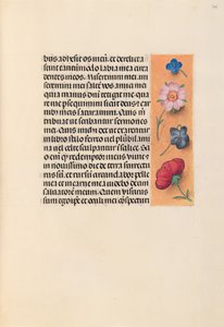 Hours of Queen Isabella the Catholic, Queen of Spain: Fol. 245r by Master of the First Prayerbook of Maximillian